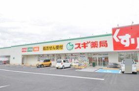 松原市南新町1丁目の中古一戸建て(スギ薬局松原南新町店)