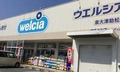 泉大津市東助松町3丁目の土地(ウエルシア泉大津助松店)