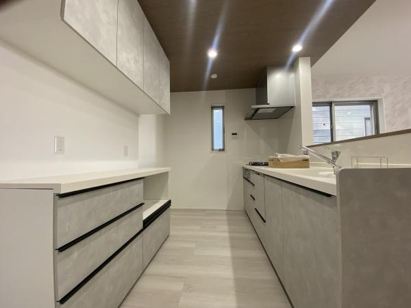 堺市中区深井清水町　新築戸建