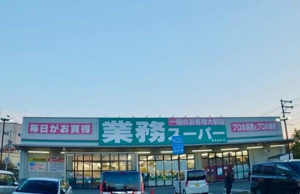 堺市美原区菅生の土地(業務スーパー堺美原店)