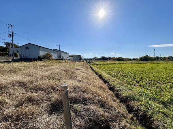 堺市美原区菅生の土地(現地土地写真)