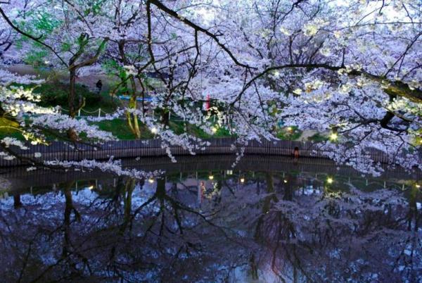 堺市東区日置荘原寺町の中古一戸建て(大池公園)