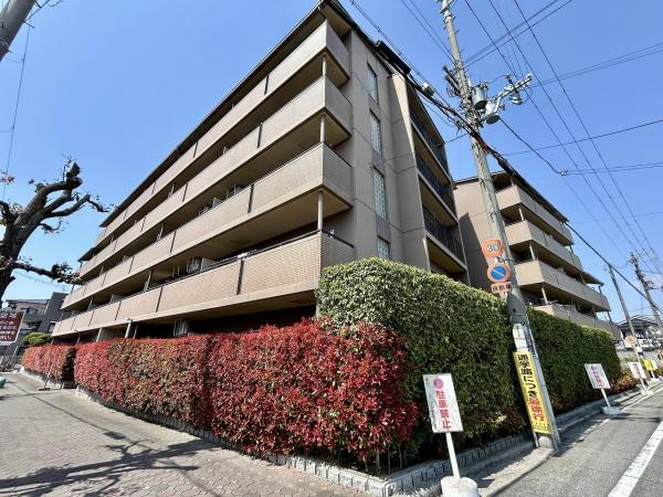 ラナ・トーア諏訪森