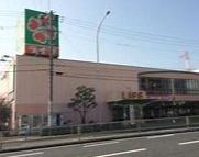 堺市堺区緑町2丁の中古一戸建て(ライフ新北島店)