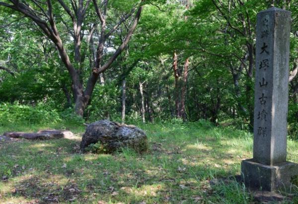 河内松原団地 A4棟5階(大塚山古墳)