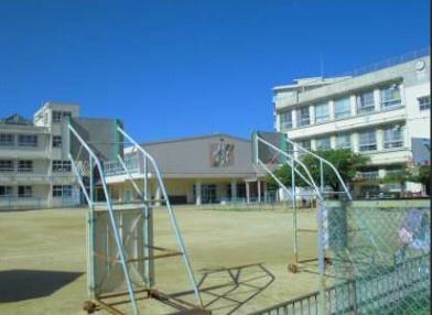 堺市堺区向陵東町２丁の土地(堺市立東三国丘小学校)