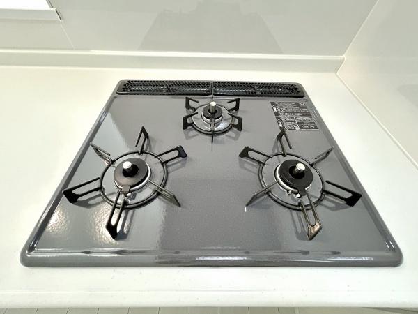 堺市東区日置荘西町1丁D号棟　新築戸建
