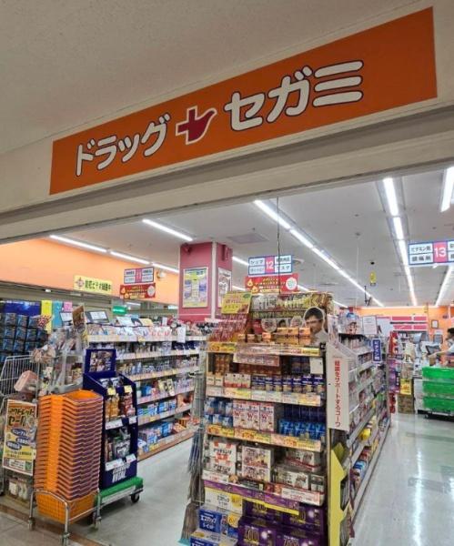ジェイグラン　一棟収益(ドラッグセガミ大和田店)