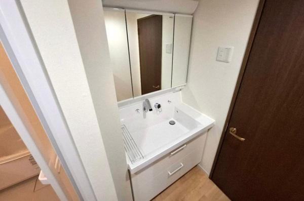 パルコート・フェルティなかもず(洗面台・洗面所)