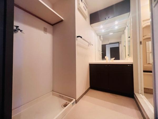 ファミール北野田(洗面台・洗面所)