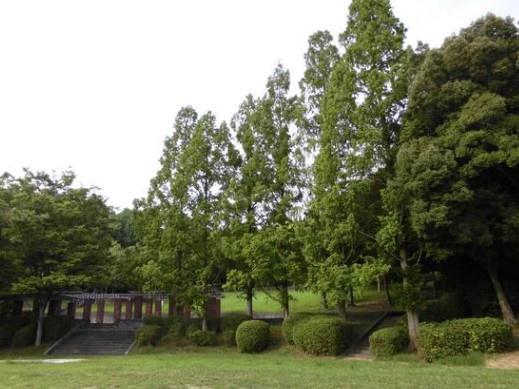 泉北茶山台第1次住宅6号棟(茶山公園)