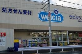 堺市西区浜寺石津町西４丁の土地(ウエルシア堺諏訪ノ森店)