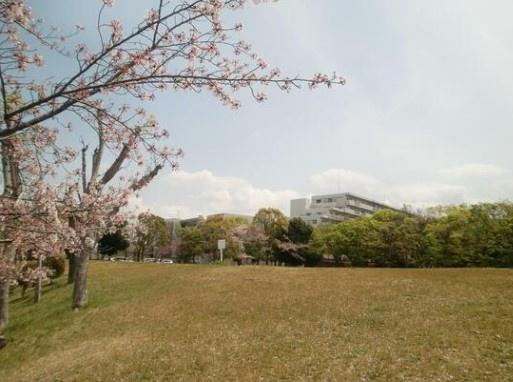 堺市南区桃山台３丁の土地(桃山公園)