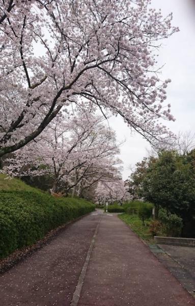 とがグリーンハイツ(原山公園)