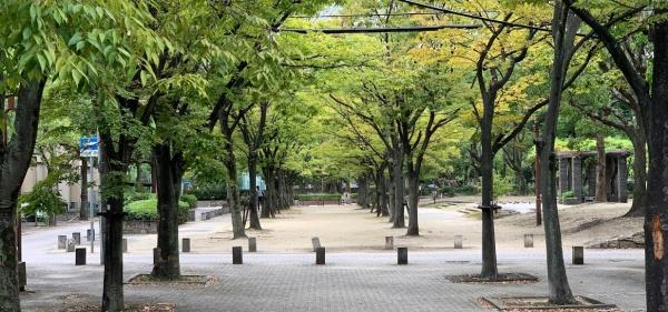 尼崎市大庄中通２丁目の中古一戸建て(大庄公園)