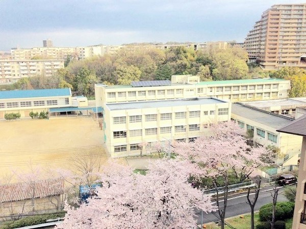 泉北茶山台第一次住宅１１号棟(堺市立若松台小学校)