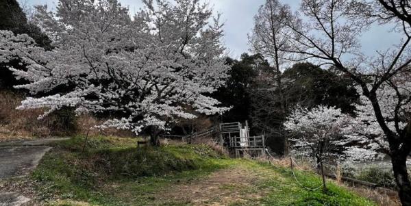 貝塚市蕎原の中古一戸建て(かいづかいぶき温泉オートキャンプ場)