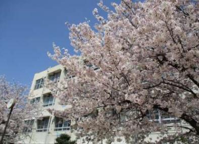 堺市西区浜寺船尾町西２丁の中古一戸建て(堺市立浜寺東小学校)