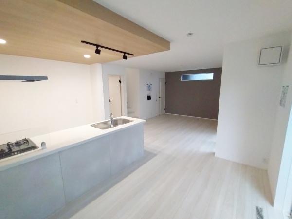 藤井寺市国府2丁目1号棟　新築戸建