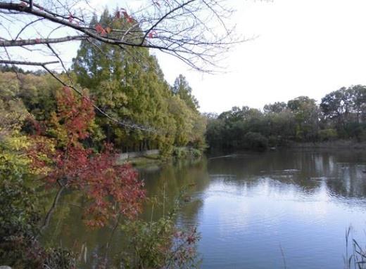 堺市南区槇塚台３丁の土地(晴美公園)