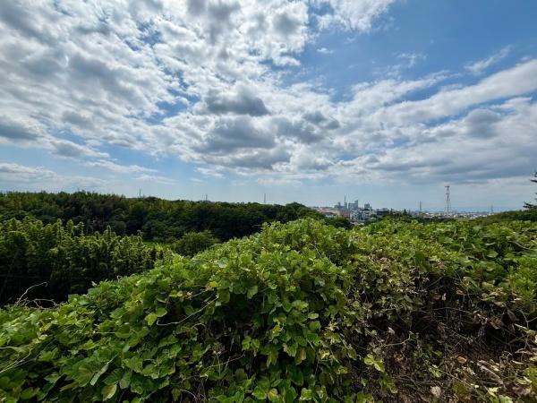 堺市美原区青南台１丁目の土地