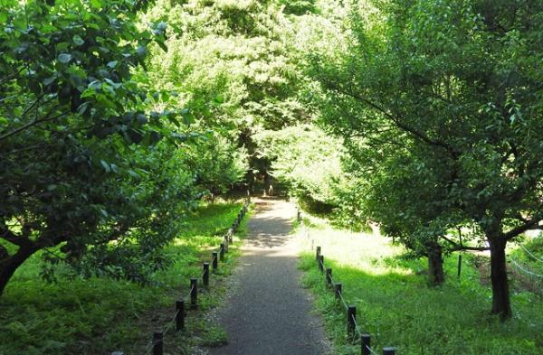 堺市西区津久野町３丁の土地(下田緑地)