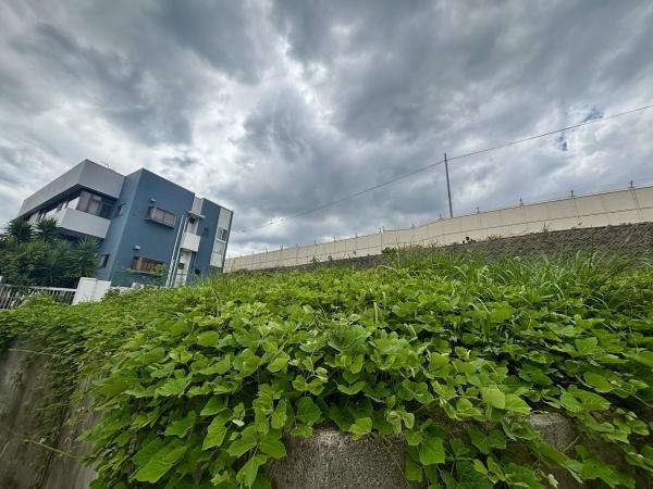 富田林市寿町３丁目の土地