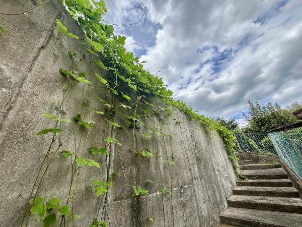 富田林市寿町３丁目の土地