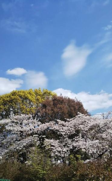 泉大津市板原町４丁目の中古一戸建て(三十合池公園)