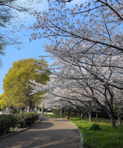 和泉市唐国町４丁目の土地(包近公園)