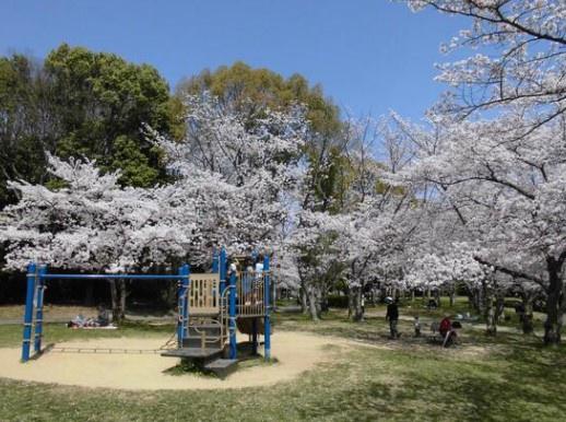 泉北御池台第3住宅5号棟(御池公園)
