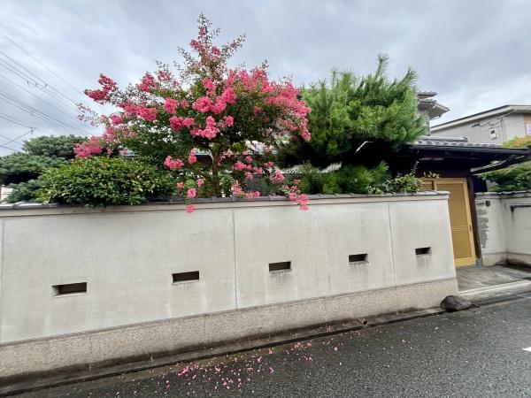 堺市西区上野芝町8丁2号地　売土地