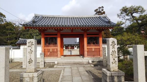 藤井寺グリーンハイツ1号棟(野中寺)