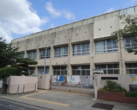 堺市西区浜寺元町５丁の土地(堺市立浜寺昭和小学校)
