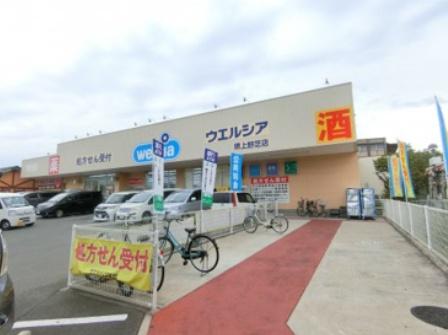 堺市中区深井中町の中古一戸建て(ウエルシア堺上野芝店)