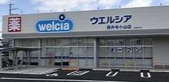 藤井寺市津堂２丁目の中古一戸建て(ウエルシア藤井寺小山店)