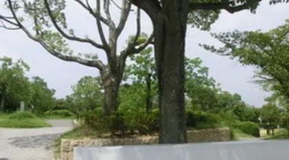 和泉市王子町の中古一戸建て(鶴山台惣ケ池公園)