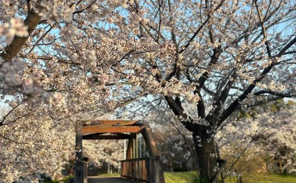 泉大津市板原町５丁目の中古一戸建て(板原公園)