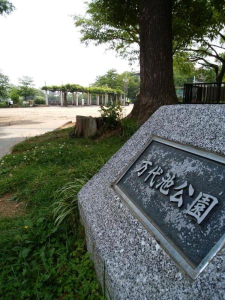 大阪市住吉区帝塚山東4丁目の中古一戸建て(万代池公園)