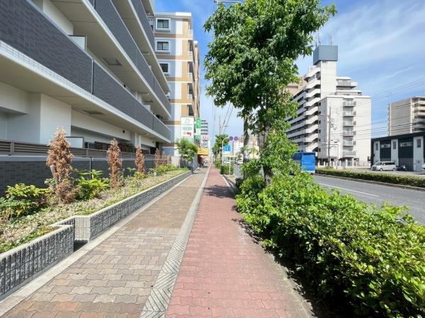 グランアッシュ平野