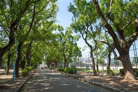 大阪市平野区背戸口1丁目の土地(平野白鷺公園)