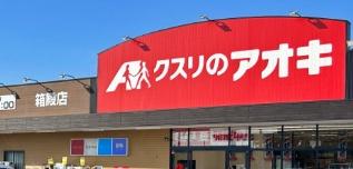 東大阪市弥生町の中古一戸建て(クスリのアオキ箱殿店)