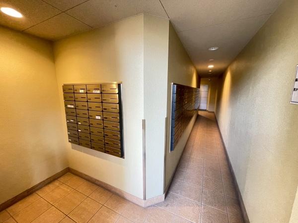 城東中央アインス