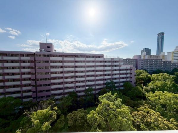 南港フローラルハイツ23号棟
