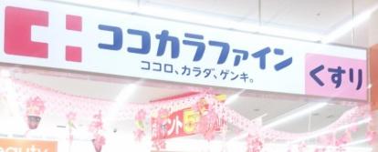 シャンソニエパレス　一棟アパート(ココカラファインコープ泉佐野店)