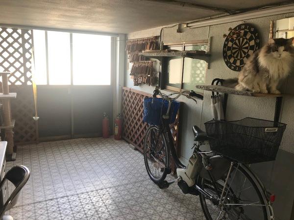 大阪市阿倍野区帝塚山１丁目の中古一戸建て