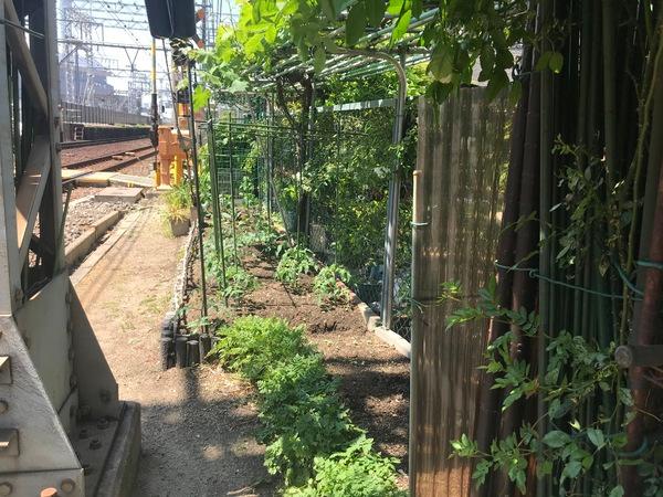 大阪市阿倍野区帝塚山１丁目の中古一戸建て