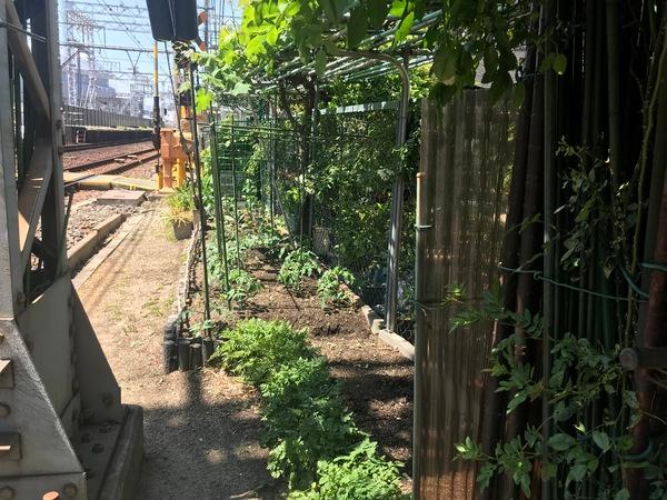 大阪市阿倍野区帝塚山１丁目の中古一戸建て
