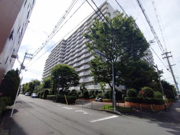 エルグリーンたつみ
