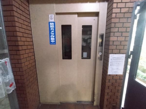ドムール平野